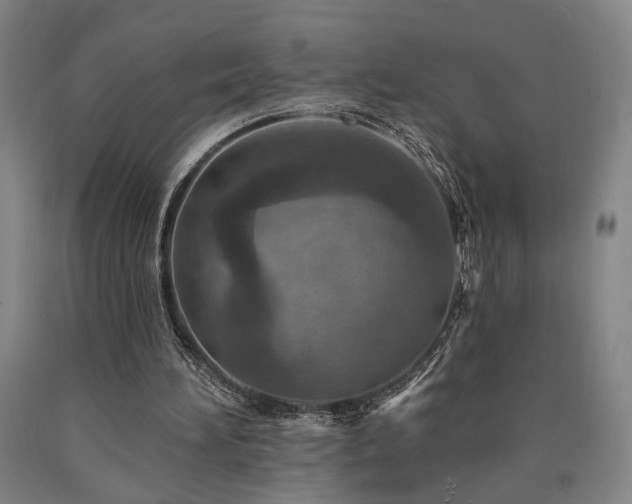 X0000090910196200707301441