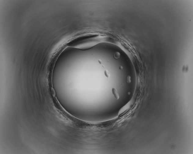 X0000090910197200707301441