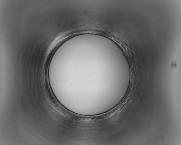 X0000090910198200707301441