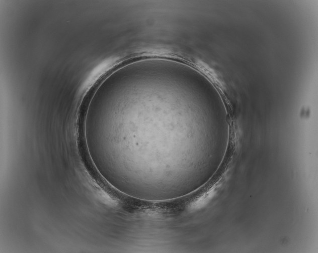 X0000090910199200707301441