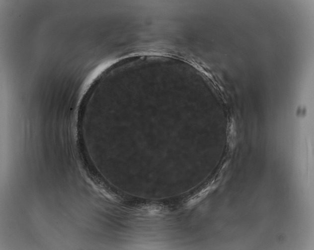 X0000090910200200707301441