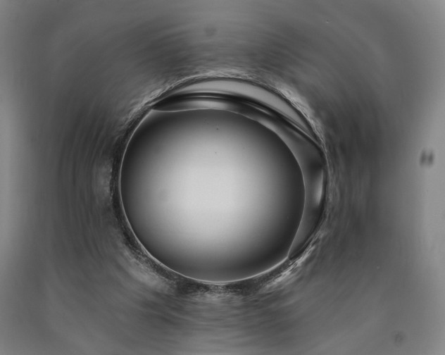 X0000090910201200707301441