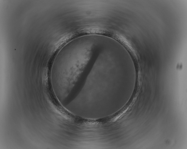 X0000090910202200707301441