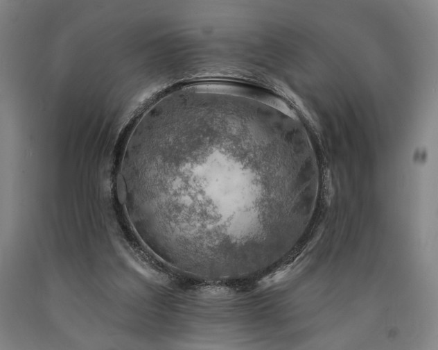 X0000090910203200707301441