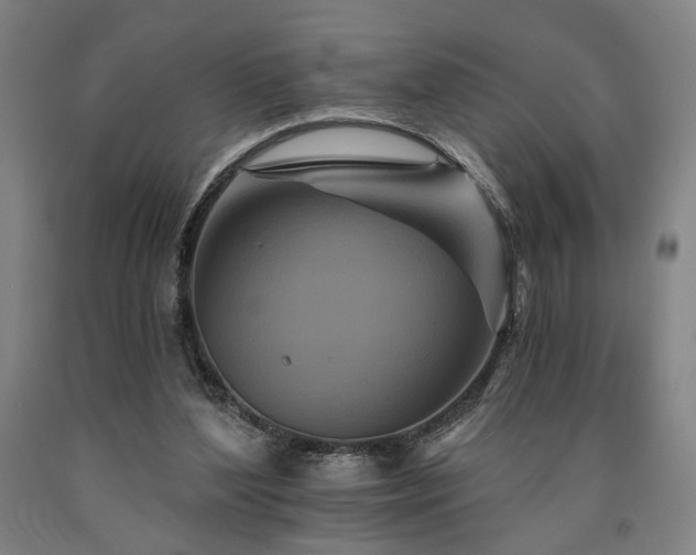 X0000090910204200707301441