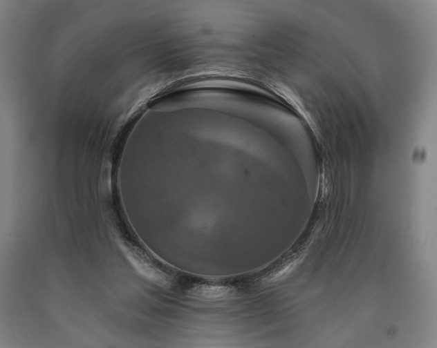 X0000090910205200707301441