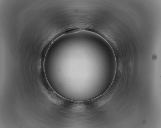 X0000090910206200707301441