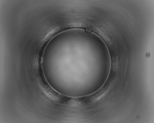 X0000090910207200707301441