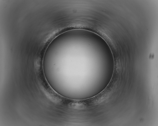 X0000090910208200707301441