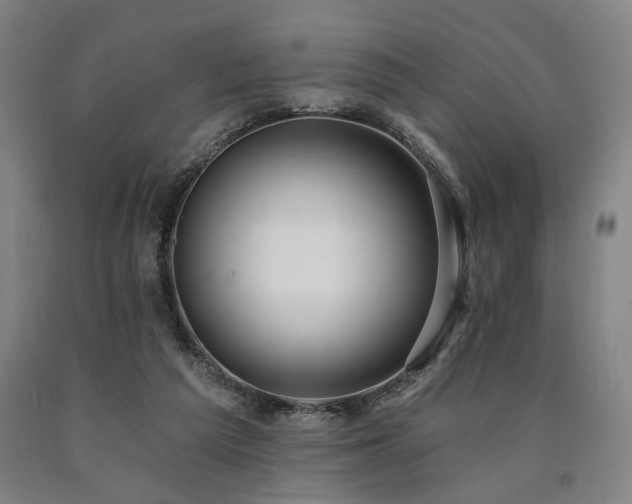 X0000090910209200707301441