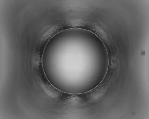 X0000090910210200707301441