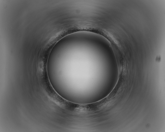 X0000090910211200707301441