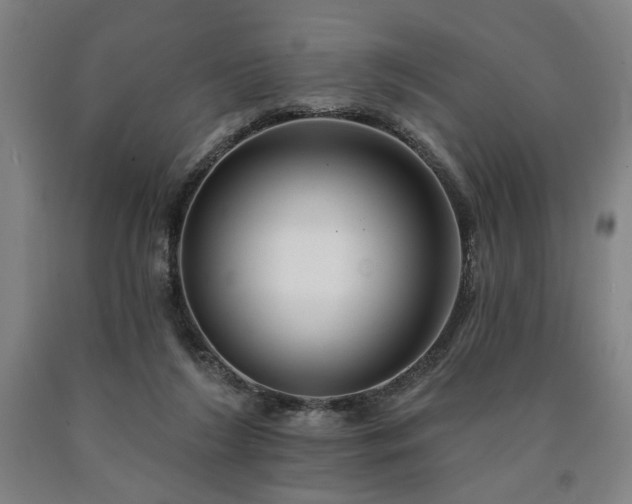 X0000090910212200707301441