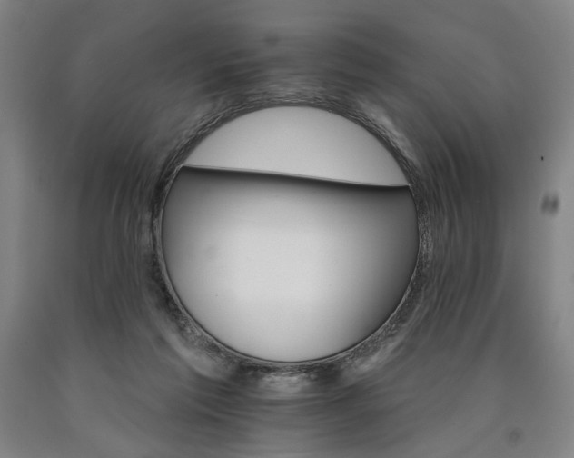 X0000090910213200707301441