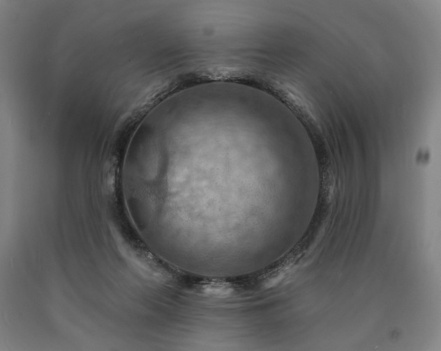 X0000090910214200707301440