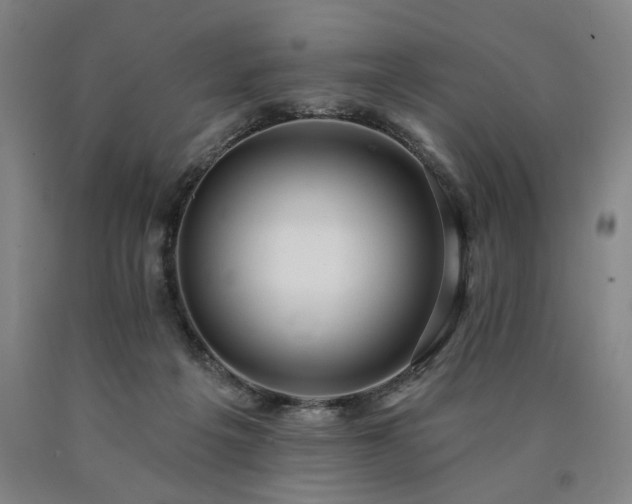 X0000090910217200707301440