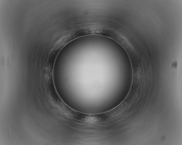 X0000090910218200707301440