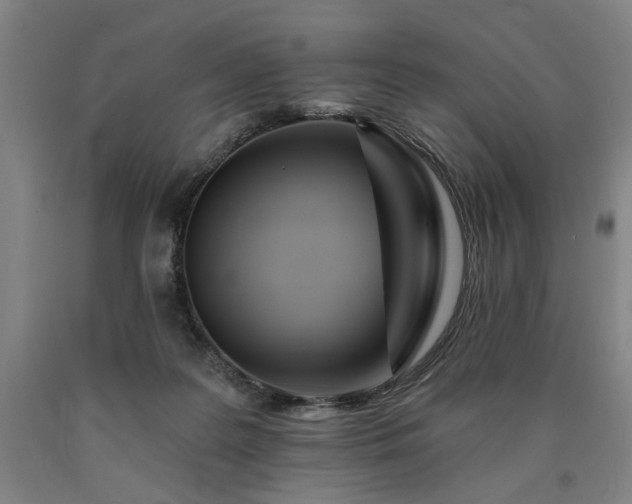 X0000090910219200707301440