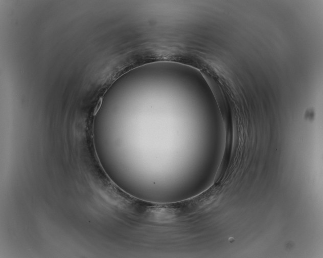 X0000090910221200707301440