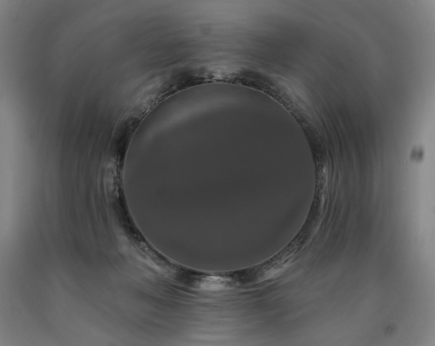 X0000090910222200707301440