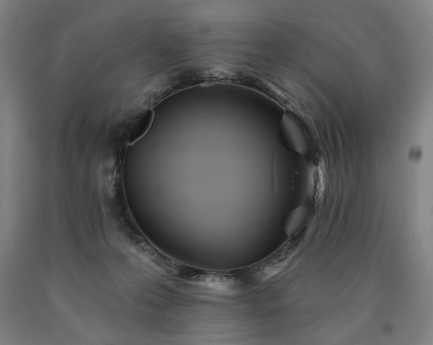 X0000090910223200707301440