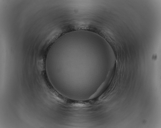 X0000090910224200707301440