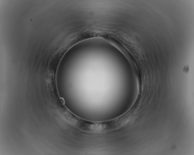 X0000090910225200707301440