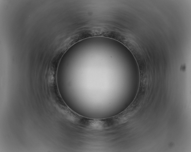 X0000090910226200707301440