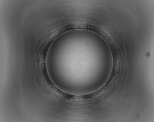 X0000090910228200707301440