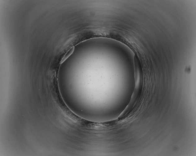 X0000090910229200707301440