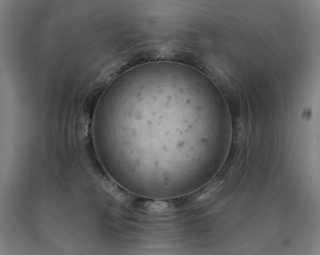 X0000090910230200707301440