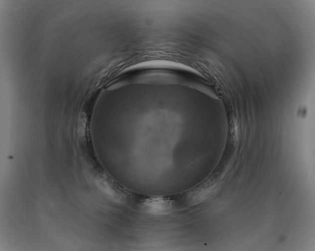 X0000090910231200707301440