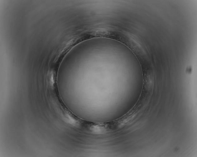 X0000090910232200707301440