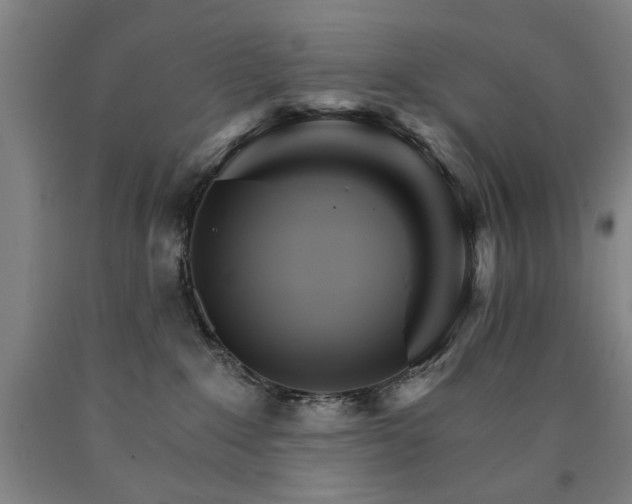 X0000090910235200707301440