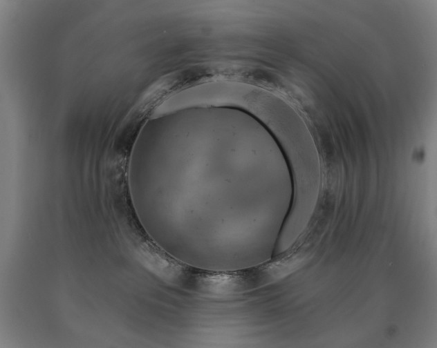 X0000090910237200707301440