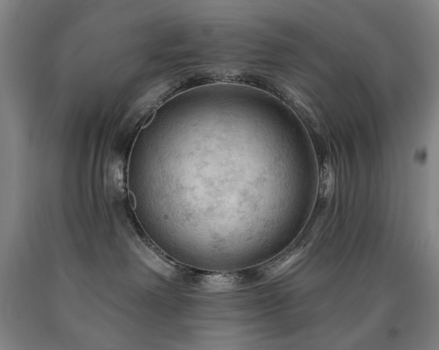 X0000090910238200707301440