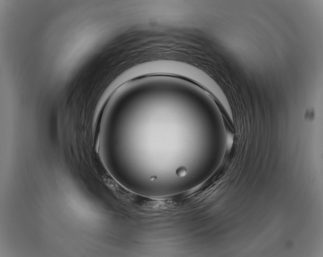 X0000090910239200707301440