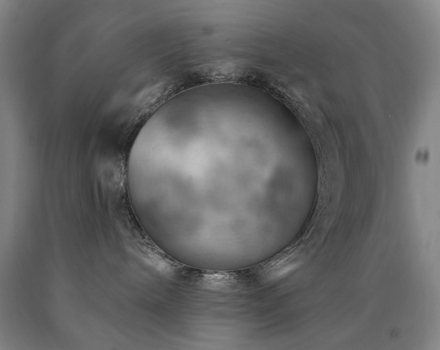 X0000090910240200707301440