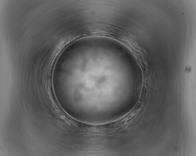 X0000090910241200707301440