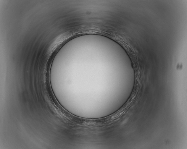 X0000090910242200707301440