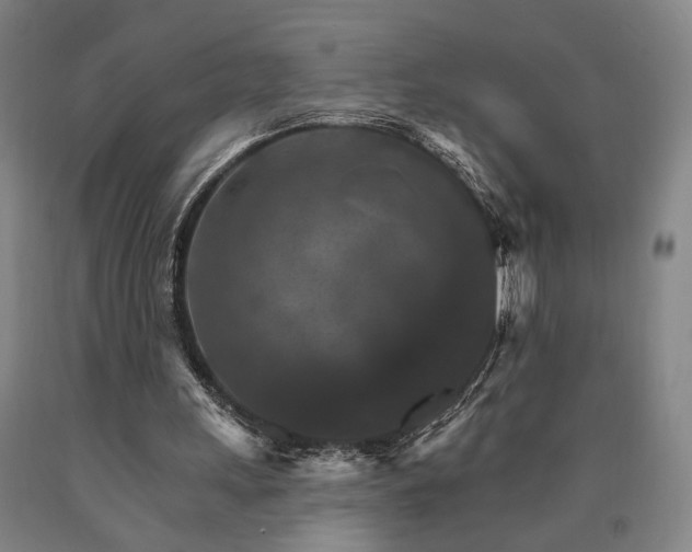 X0000090910243200707301440