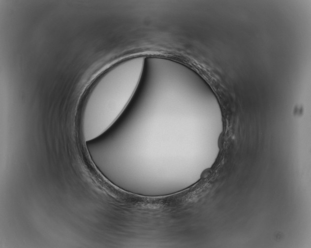 X0000090910247200707301440