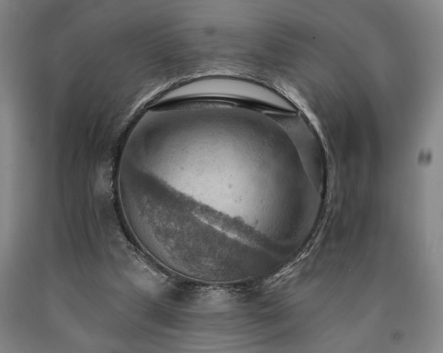 X0000090910249200707301440