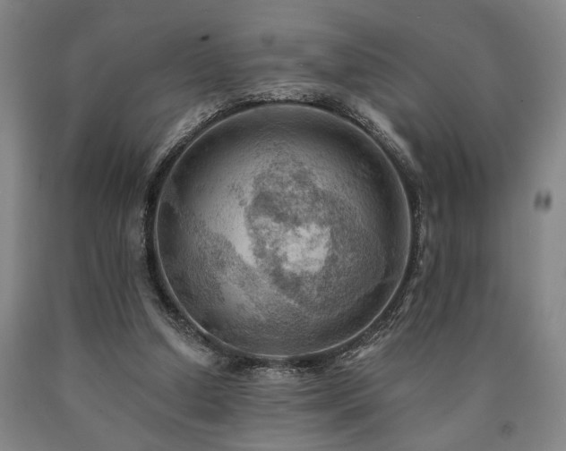 X0000090910250200707301440