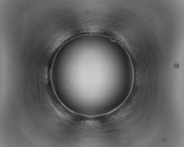 X0000090910251200707301440