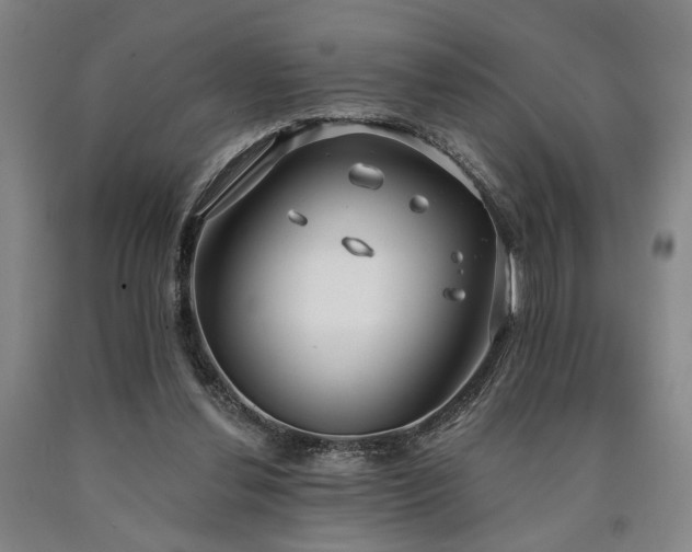 X0000090910252200707301440