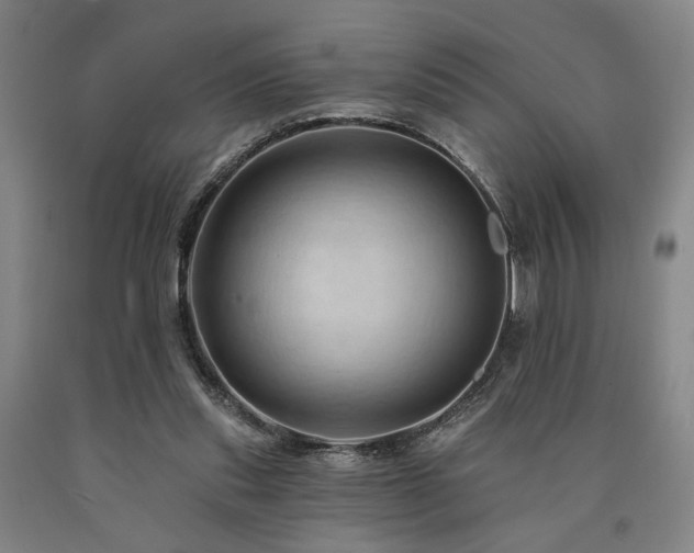 X0000090910253200707301440