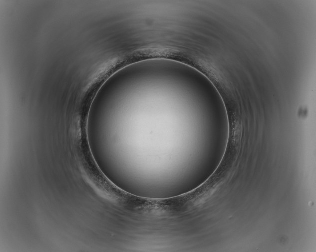 X0000090910254200707301440