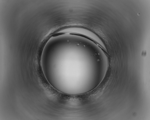 X0000090910256200707301440