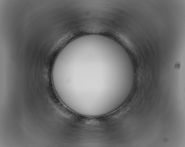 X0000090910258200707301440